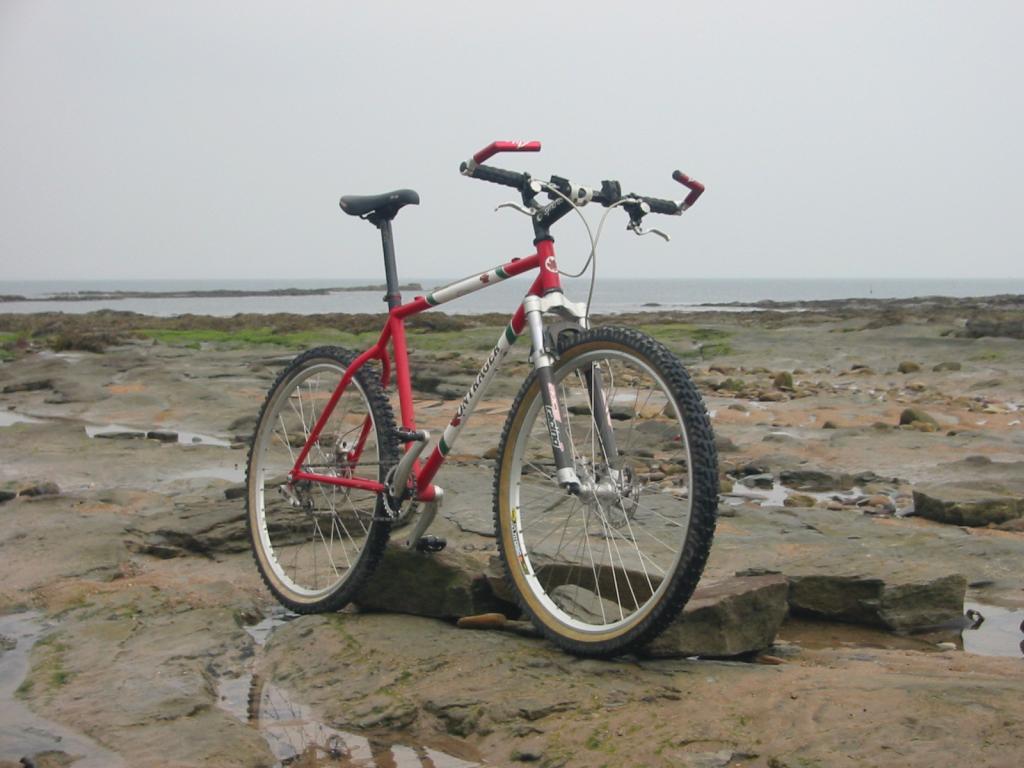 Bontrager at St Marys Island