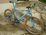 Picture 216 (Custom)