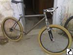 Raleigh Torus TI SS