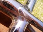 Curtis seat cluster