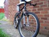 th_mybikepics001