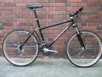 1991 Boulder Gazelle