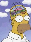 Homer_RetroBike_Brain
