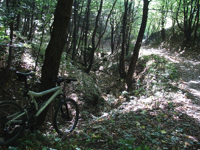 Obraz 559b
