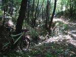Obraz 559b