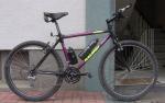 Raleigh Technium USA Peak 92er