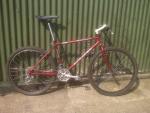 Saracen Protrax