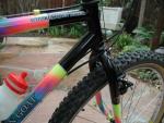 Rocky's 1989 Mountain Goat Whiskeytown Racer