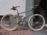 RaleighTorusHS331995