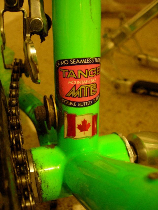 Tange_Toad