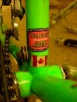 Tange_Toad