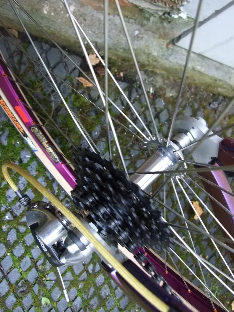 Kestrel CSX  Suntour XC-pro