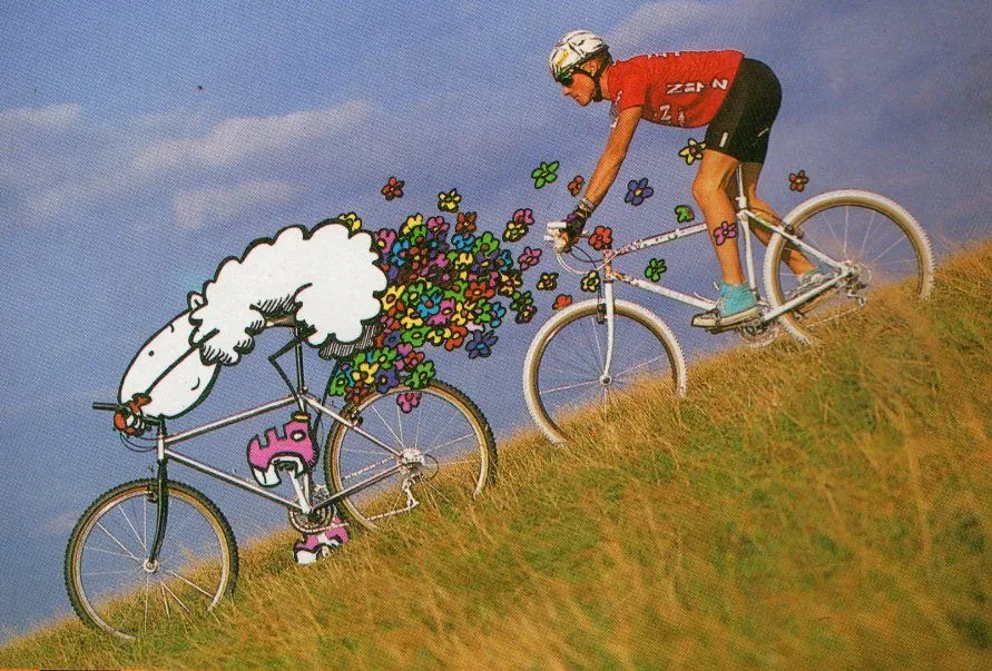 Minty and jo Burt....riding the Zinn with custom Artwork
