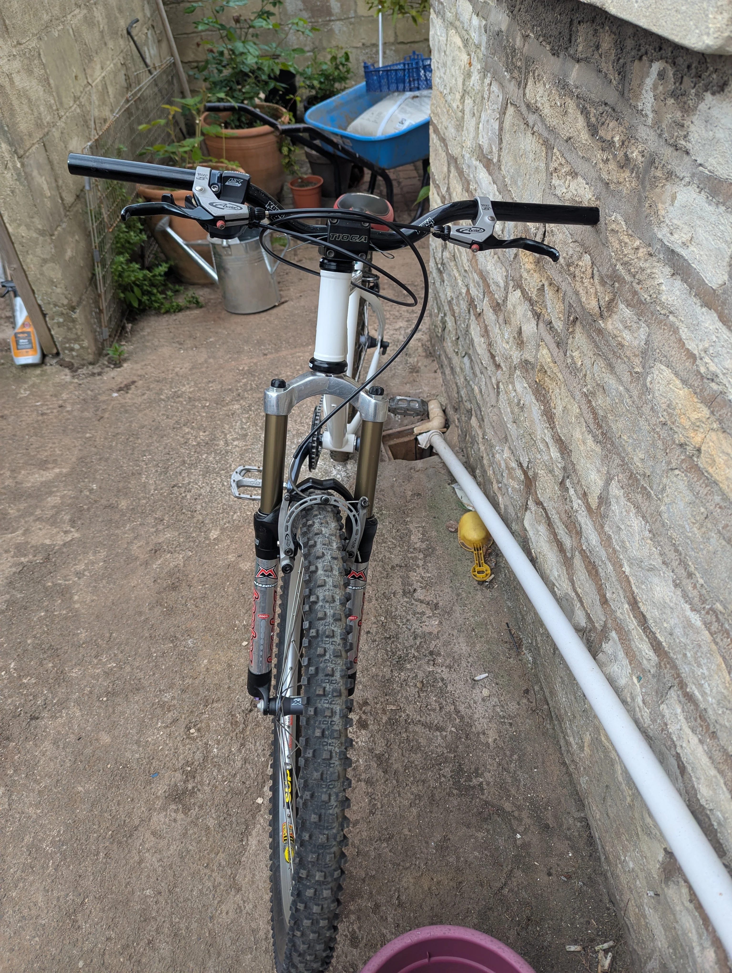 PXL_20250508_132703892.webp