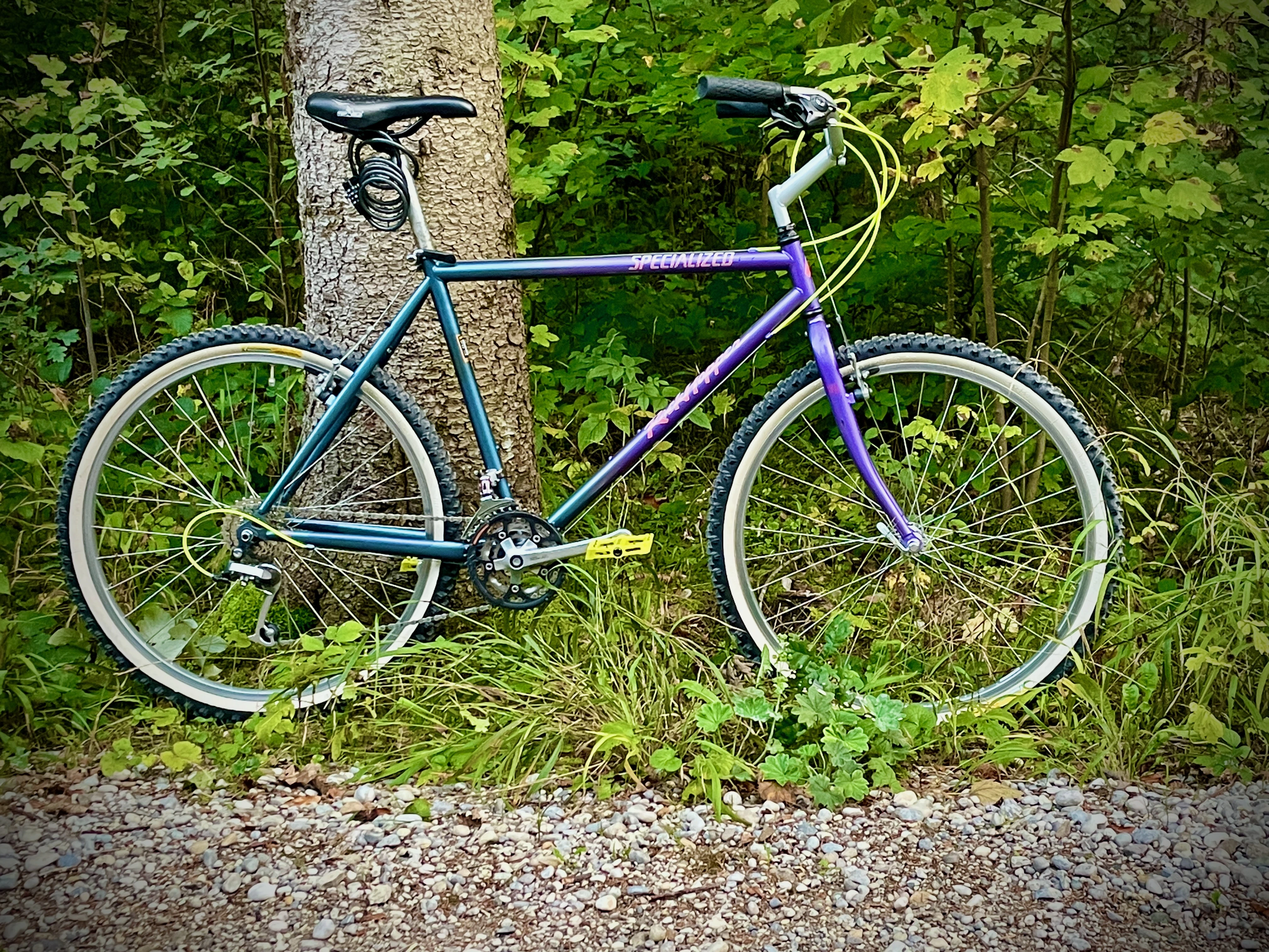 Specialized Rockhopper 1993