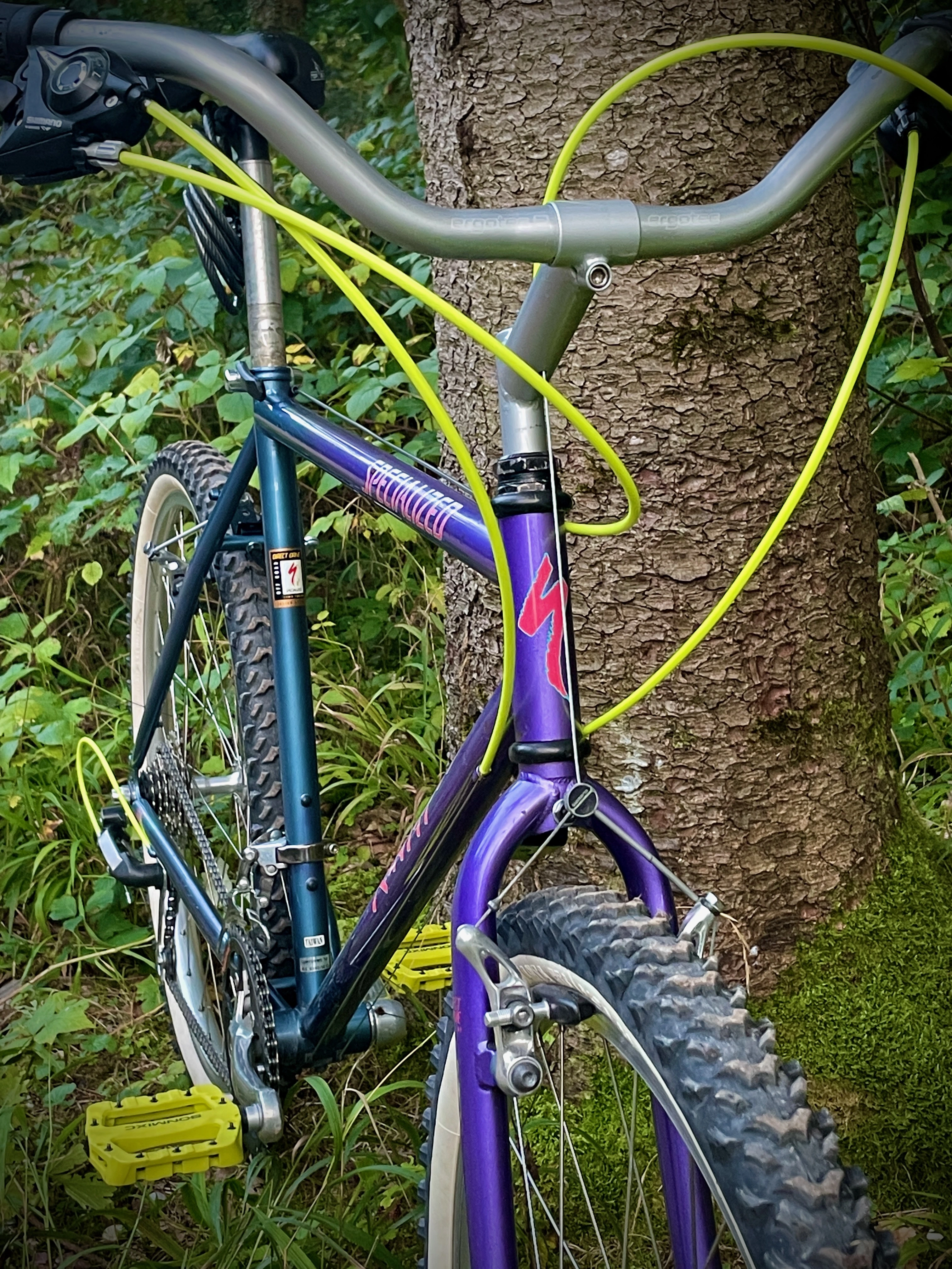 Specialized Rockhopper 1993