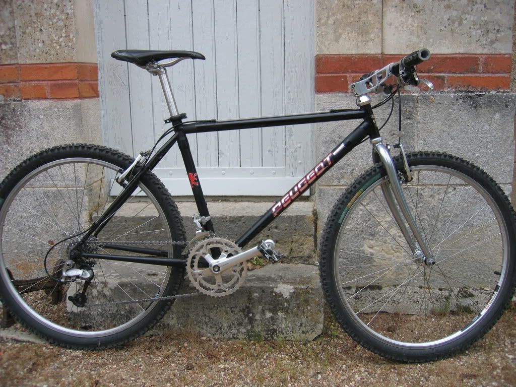 peugeotteam001.jpg