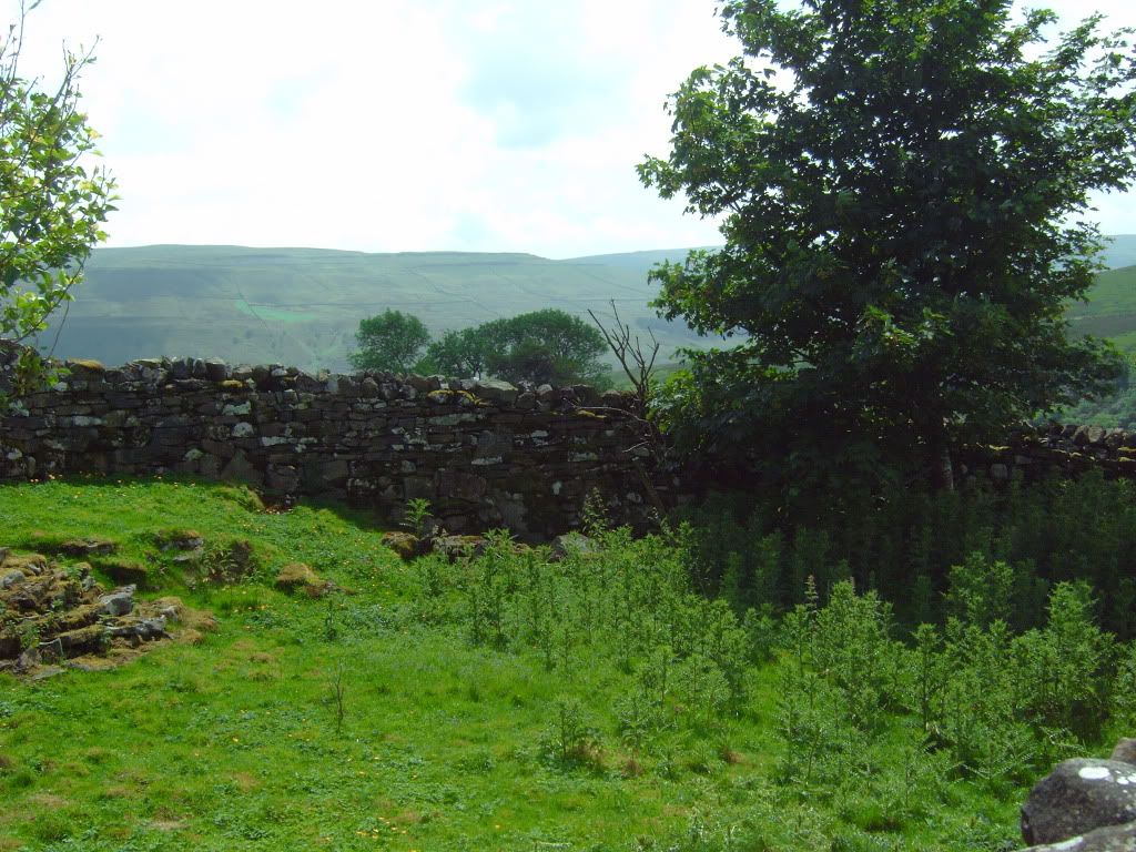 IMG00378.jpg