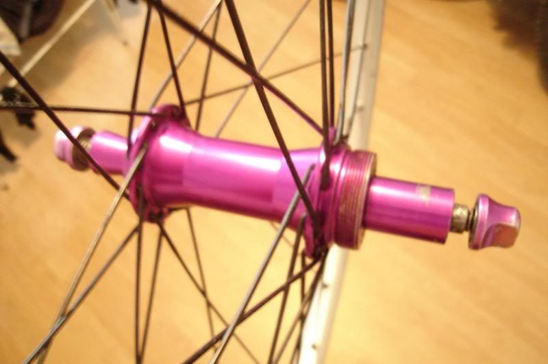 ringlerearclose.jpg