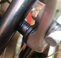 STX_Back.jpg
