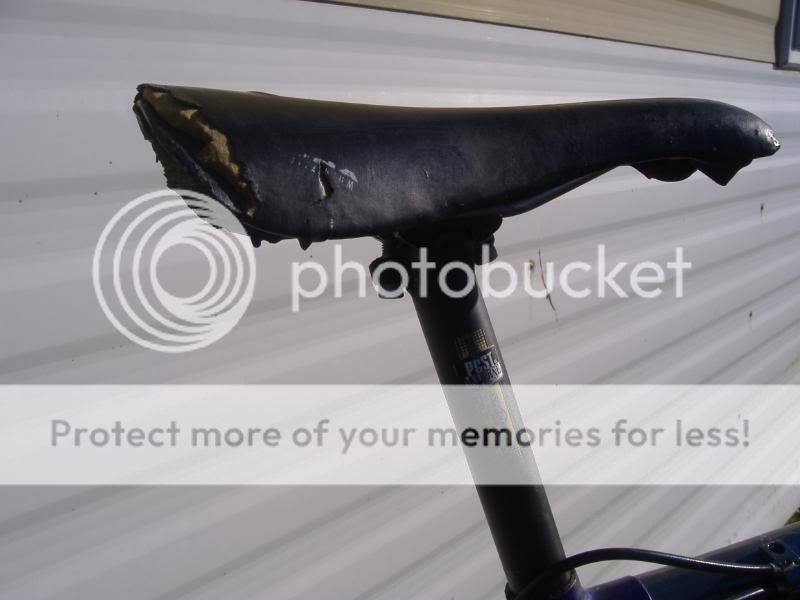 DSCF3878.jpg