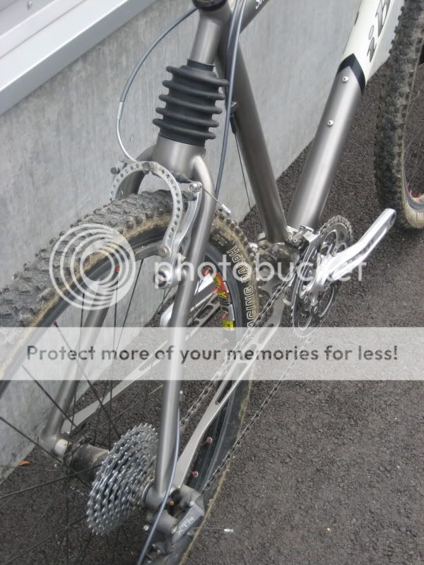 Ibis_SilkTi002.jpg