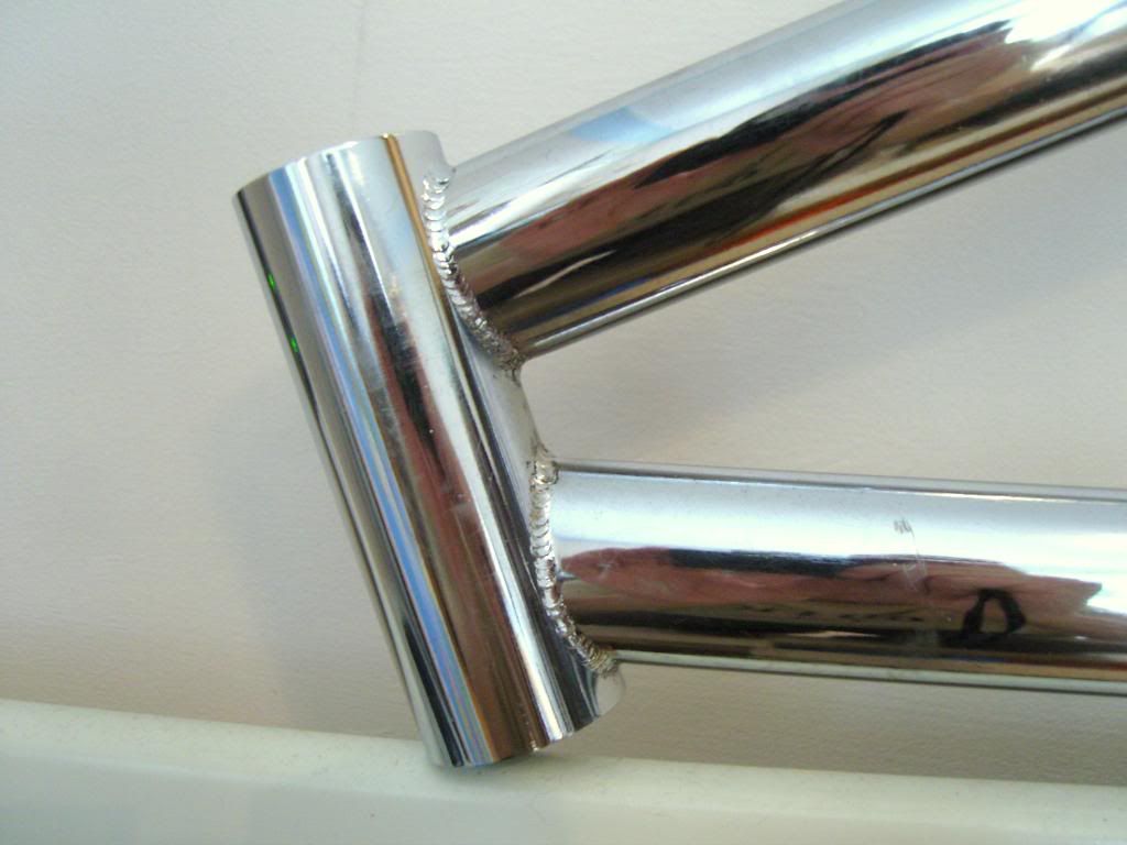 SNC10082.jpg