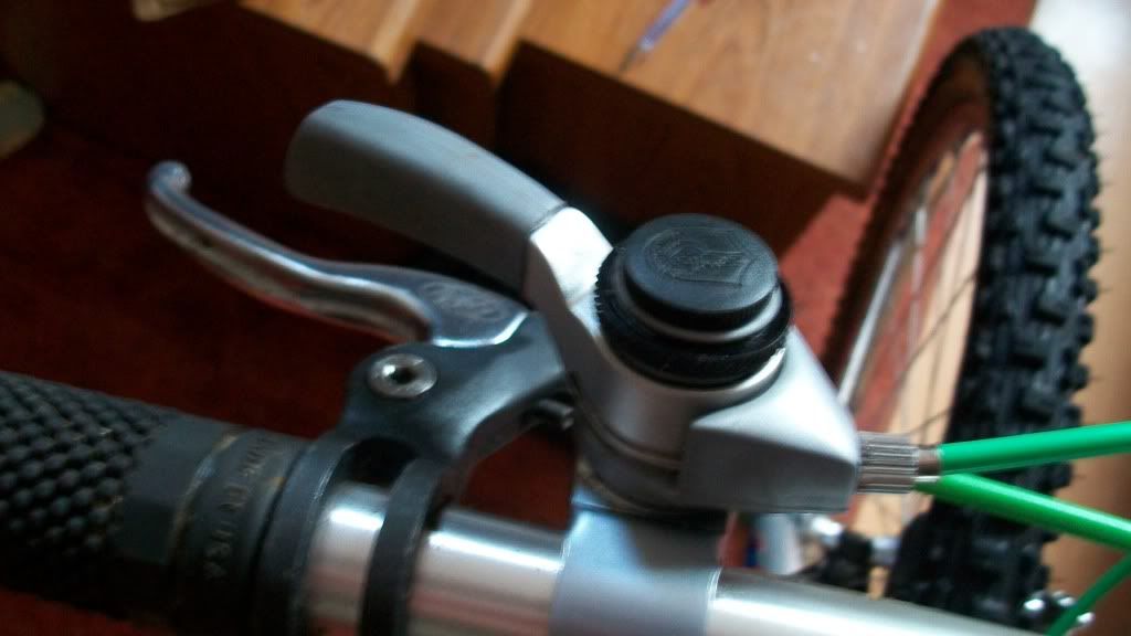 campag011.jpg