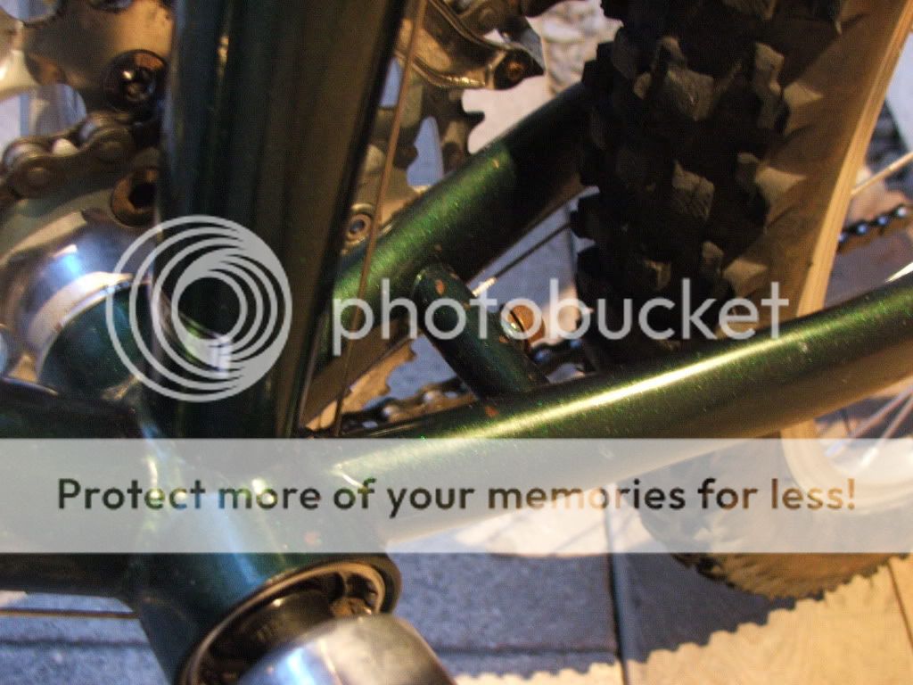 DSCF5539.jpg