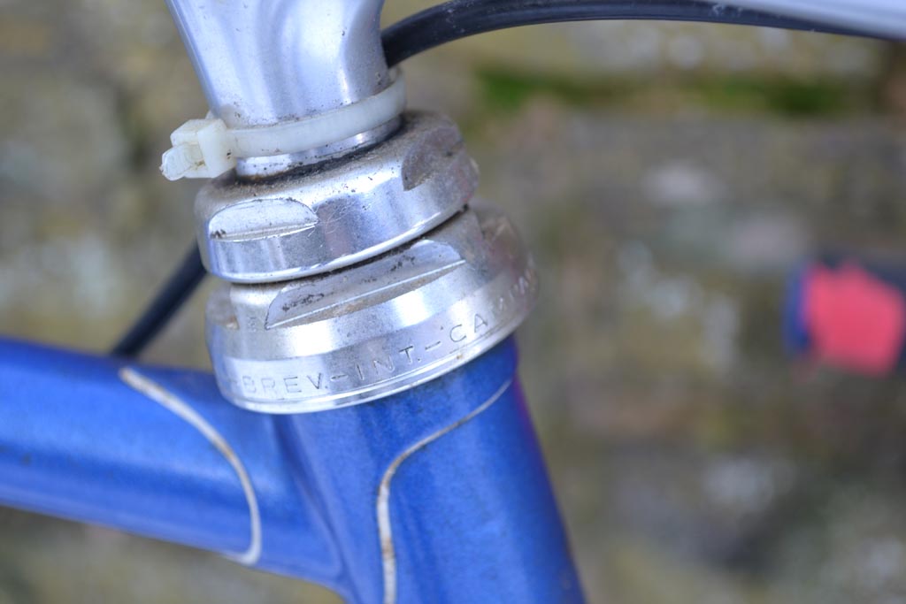 mercian09.jpg