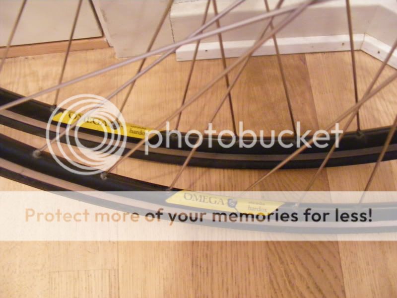 mavic004.jpg