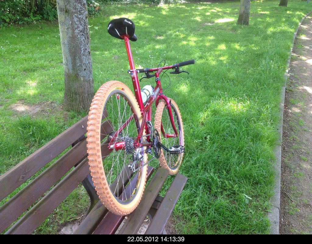 Foto4.jpg