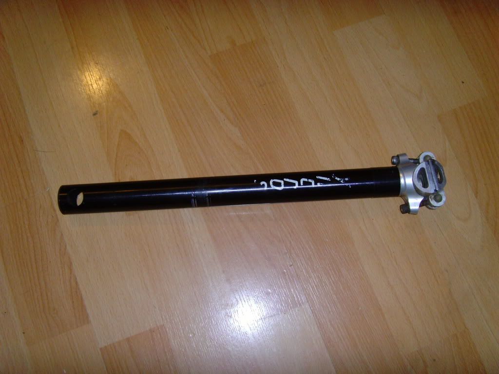 SNV35513.jpg
