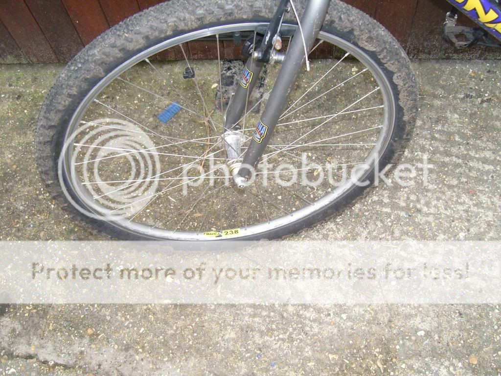 SNC10742_zps109461ec.jpg
