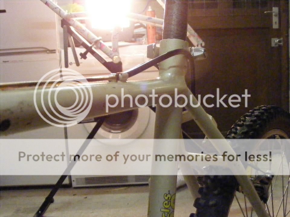 2011_0110gitane0015.jpg