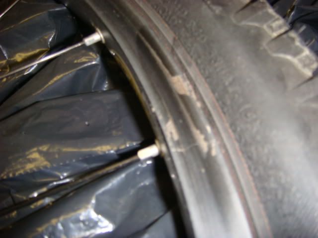 DSC01311.jpg