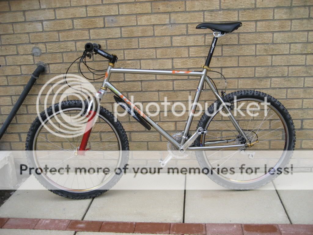 IMG_0608.jpg