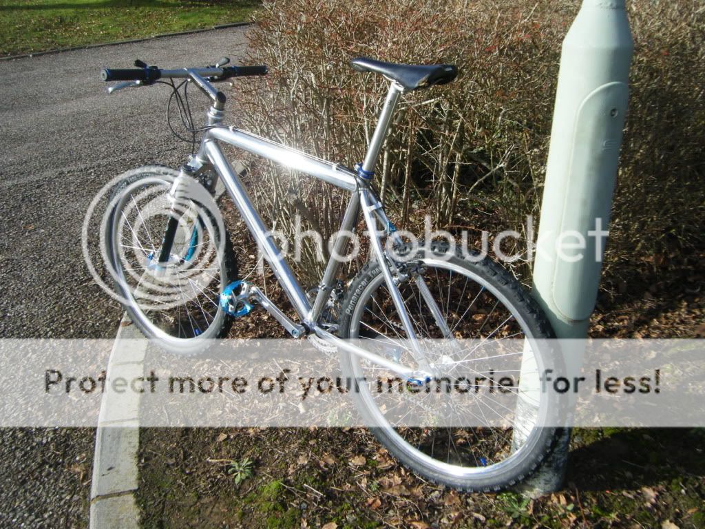 DSCF2180.jpg