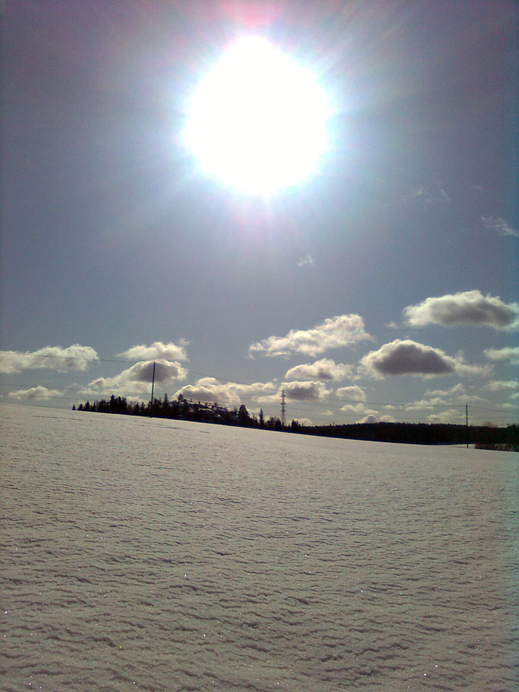 4428509443_bc1523a040_o.jpg