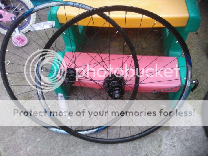 wheel-1.jpg