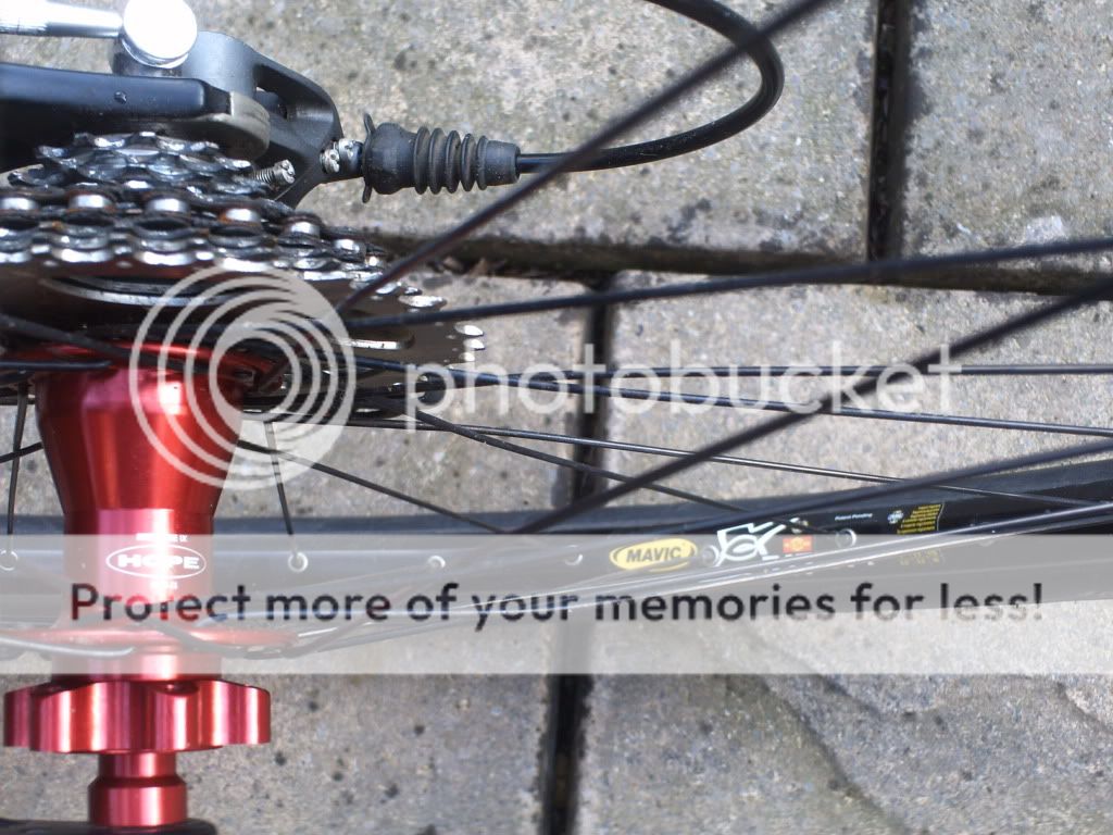 Picturesofbike006.jpg