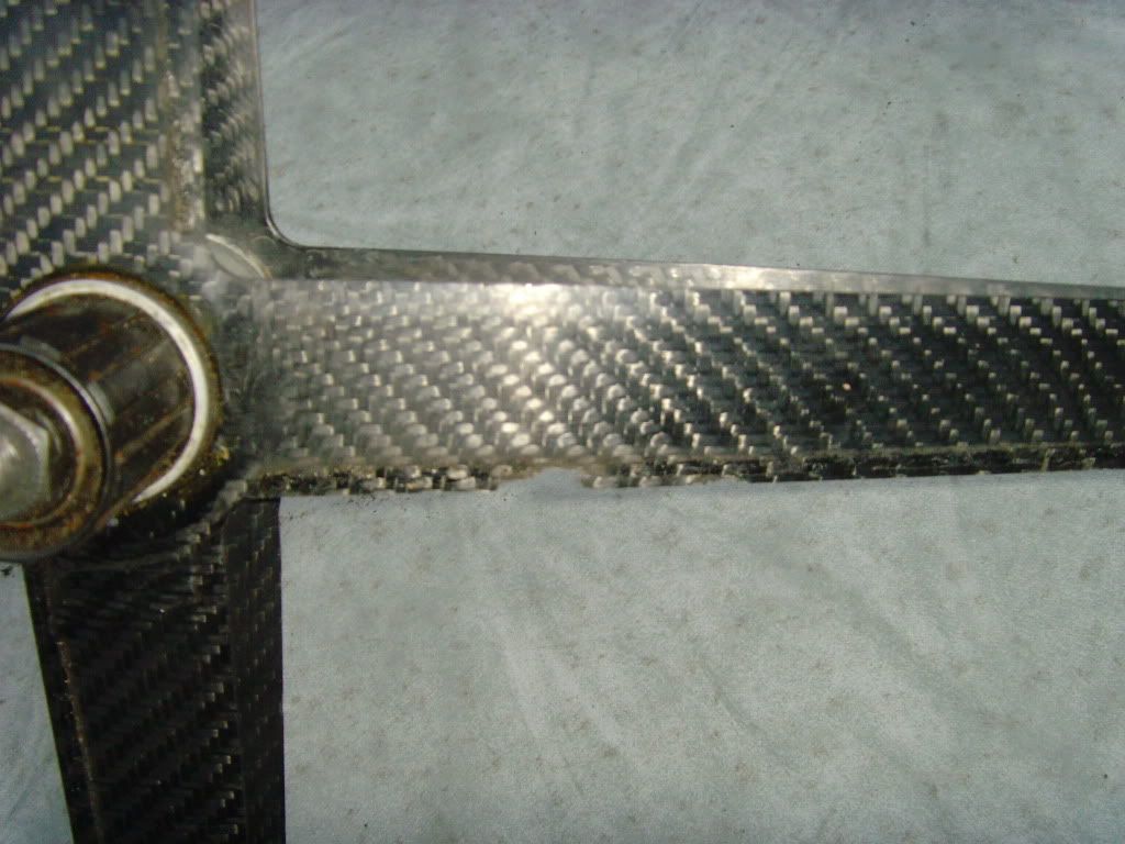 SNV36204.jpg