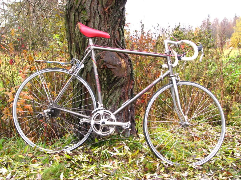 wrtmeisterjarleits003.jpg