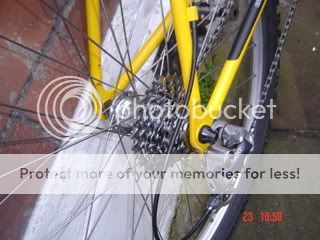 DSC01818-1.jpg