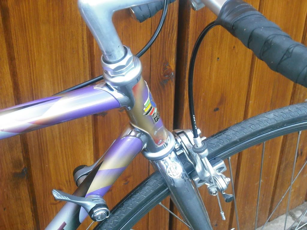 fondriestandrourkey002.jpg