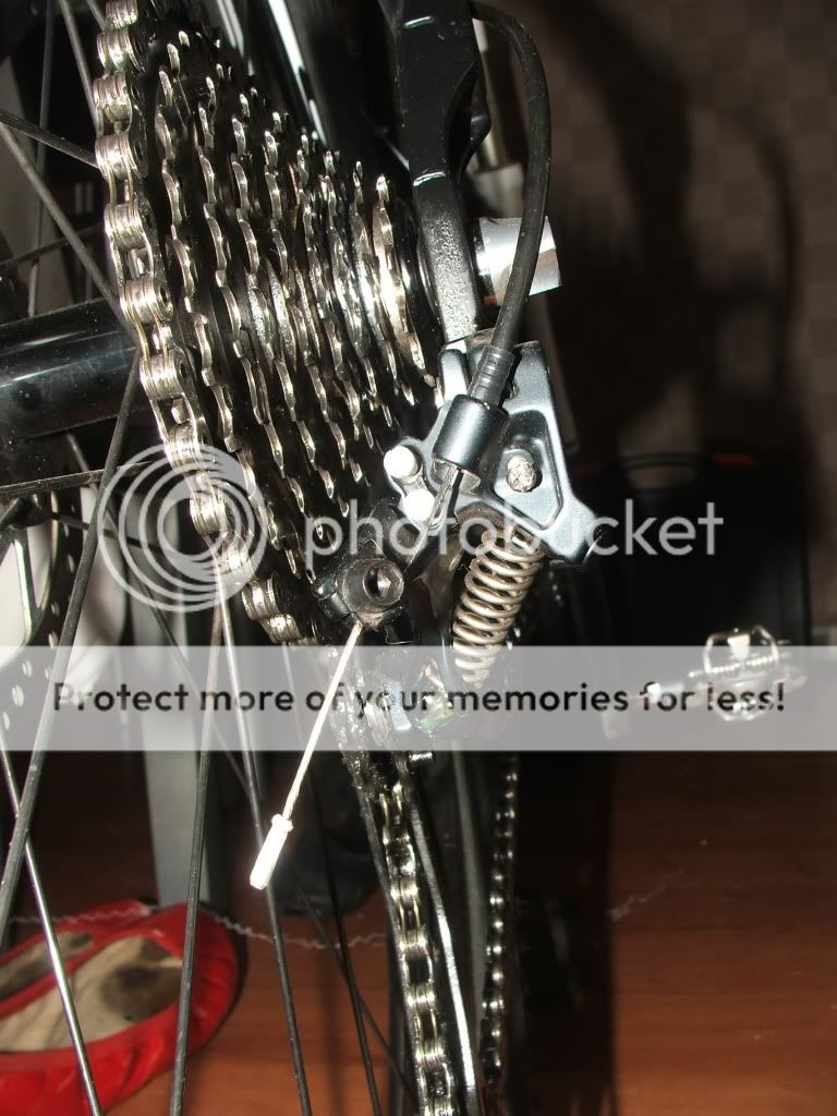 DSCF9511.jpg
