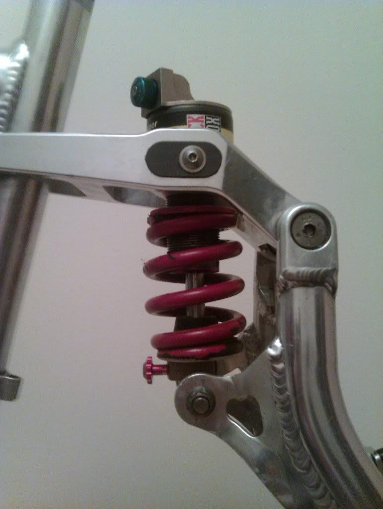 IMAG0046.jpg