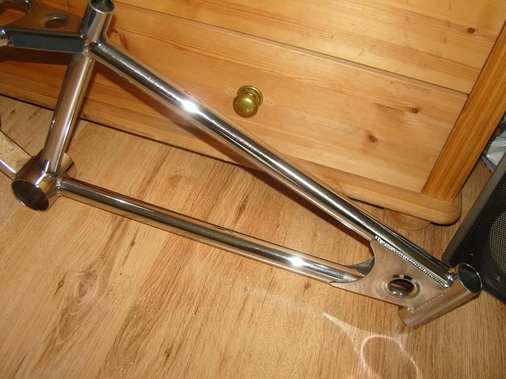SNC17351.jpg