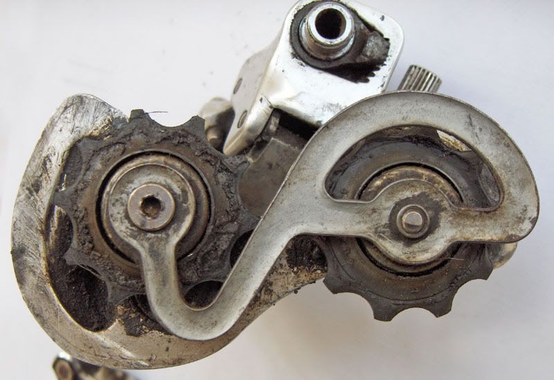 CampagnoloDer03.jpg