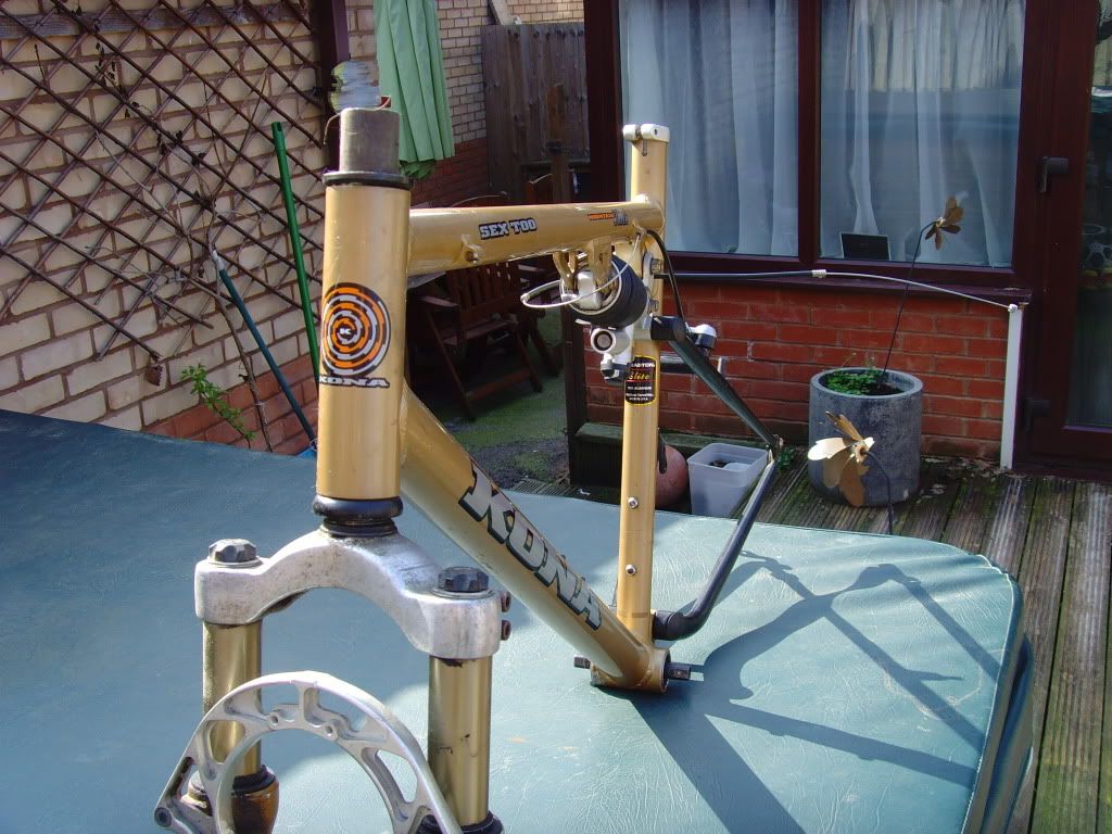 SNV35105.jpg